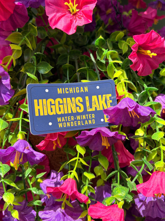 License Plate Sticker